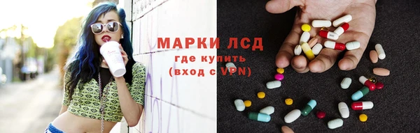 хмурый Аркадак