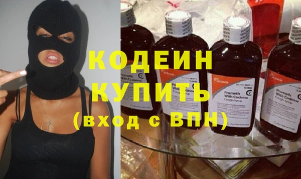 хмурый Аркадак